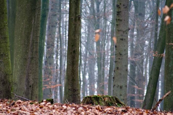 20081228-IMG_1366