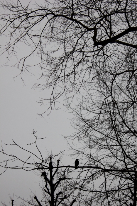 20130311-IMG_0414