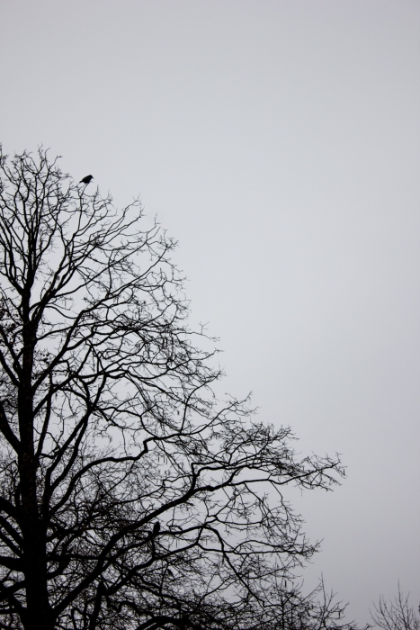 20130311-IMG_0395